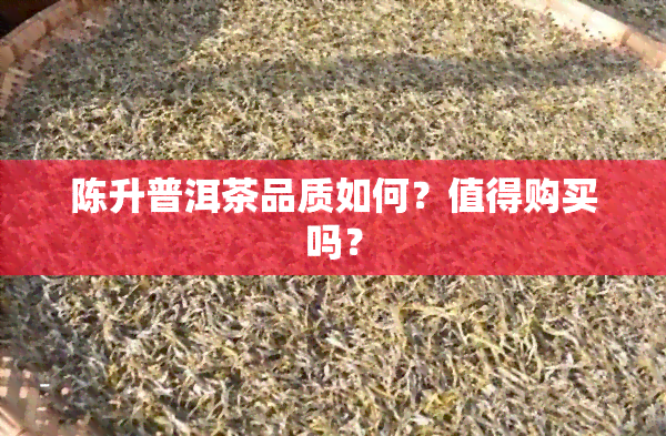 陈升普洱茶品质如何？值得购买吗？