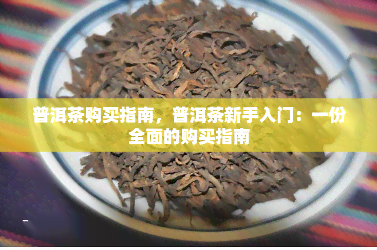 普洱茶购买指南，普洱茶新手入门：一份全面的购买指南