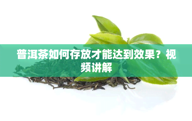 普洱茶如何存放才能达到效果？视频讲解