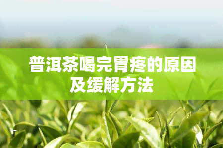 普洱茶喝完胃疼的原因及缓解方法