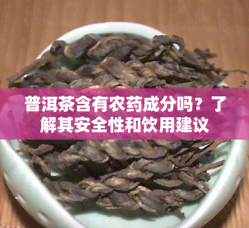 普洱茶含有农药成分吗？了解其安全性和饮用建议