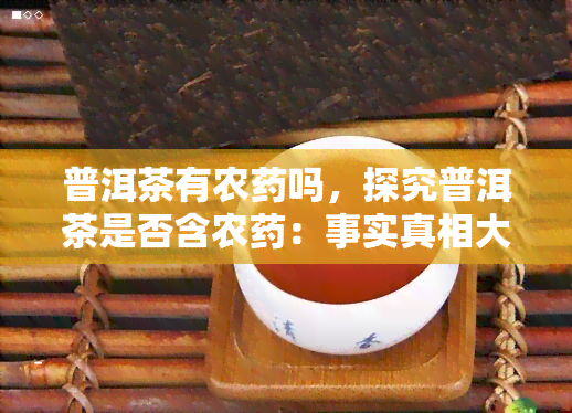 普洱茶有农药吗，探究普洱茶是否含农药：事实真相大揭秘