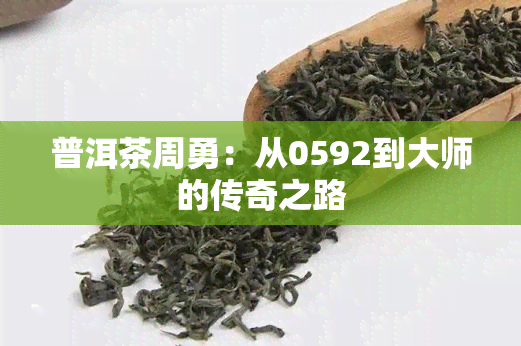 普洱茶周勇：从0592到大师的传奇之路