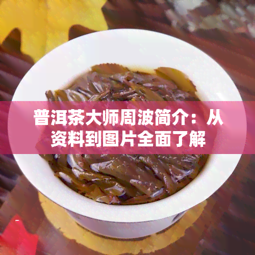 普洱茶大师周波简介：从资料到图片全面了解