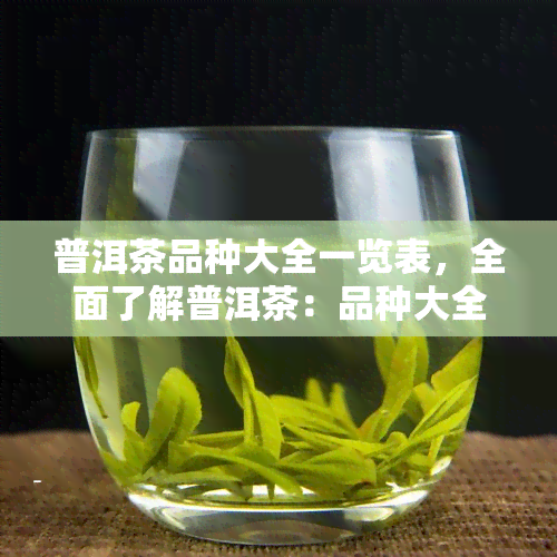 普洱茶品种大全一览表，全面了解普洱茶：品种大全一览表