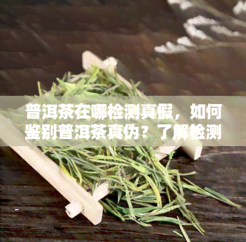 普洱茶在哪检测真假，如何鉴别普洱茶真伪？了解检测地点与方法