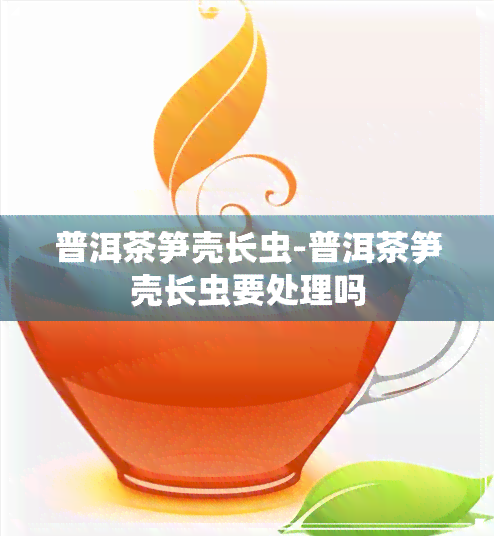 普洱茶笋壳长虫-普洱茶笋壳长虫要处理吗