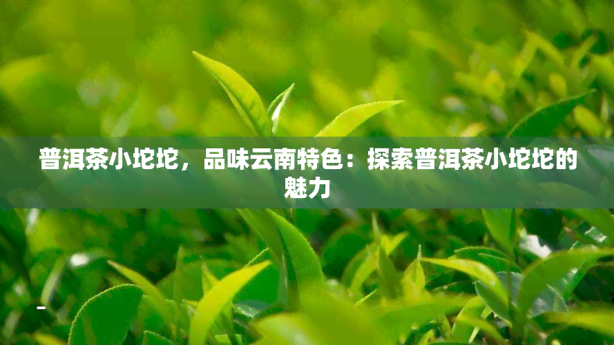 普洱茶小坨坨，品味云南特色：探索普洱茶小坨坨的魅力