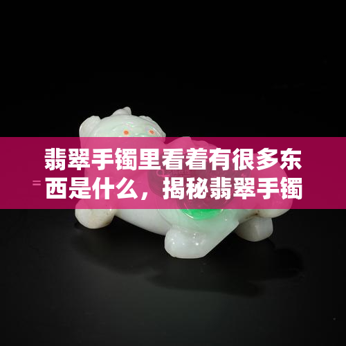 翡翠手镯里看着有很多东西是什么，揭秘翡翠手镯中的神秘物质：看起来像有无数东西在其中