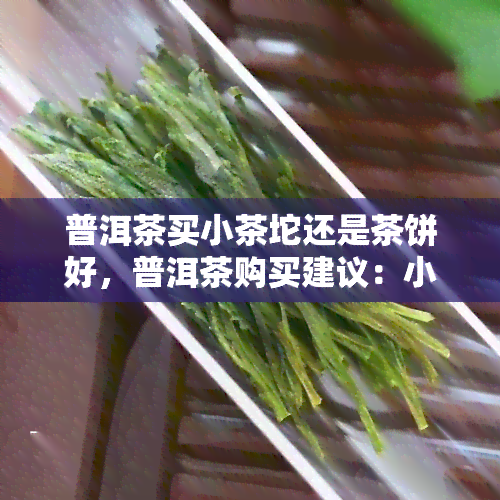 普洱茶买小茶坨还是茶饼好，普洱茶购买建议：小茶坨与茶饼哪个更优？