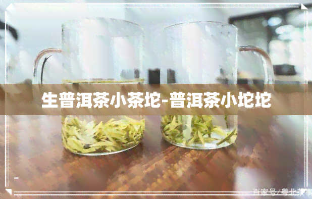 生普洱茶小茶坨-普洱茶小坨坨