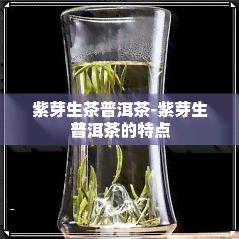 紫芽生茶普洱茶-紫芽生普洱茶的特点