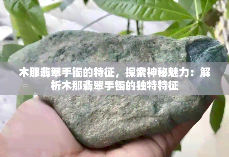 木那翡翠手镯的特征，探索神秘魅力：解析木那翡翠手镯的独特特征