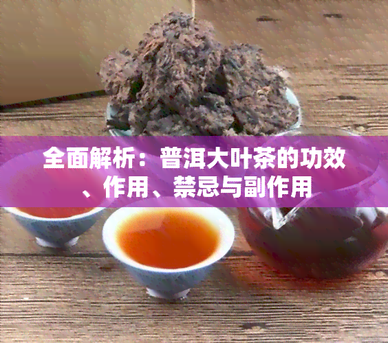 全面解析：普洱大叶茶的功效、作用、禁忌与副作用