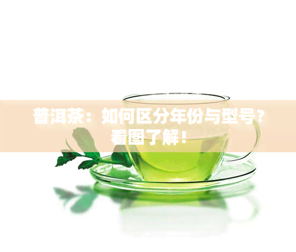 普洱茶：如何区分年份与型号？看图了解！