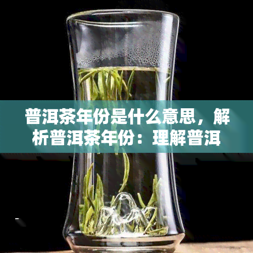 普洱茶年份是什么意思，解析普洱茶年份：理解普洱茶背后的时间故事