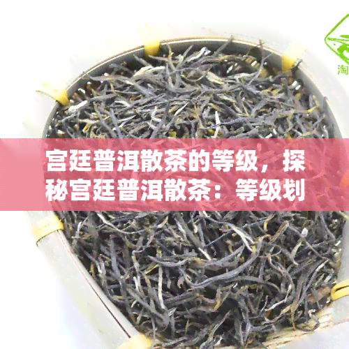 宫廷普洱散茶的等级，探秘宫廷普洱散茶：等级划分与品质评价