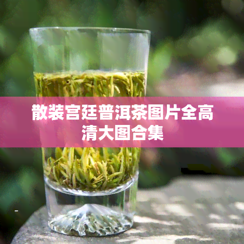 散装宫廷普洱茶图片全高清大图合集