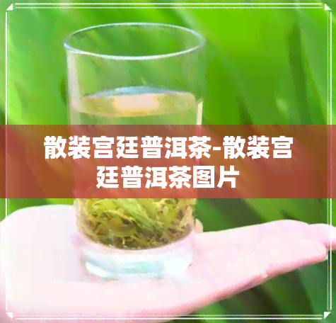 散装宫廷普洱茶-散装宫廷普洱茶图片