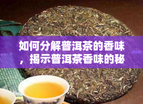 如何分解普洱茶的香味，揭示普洱茶香味的秘密：详解如何分解其香气成分