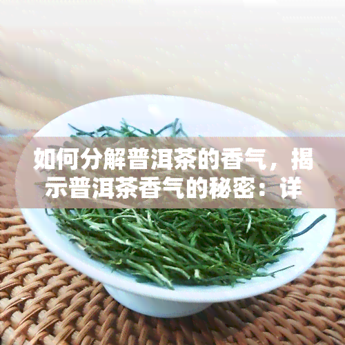 如何分解普洱茶的香气，揭示普洱茶香气的秘密：详解其分解过程