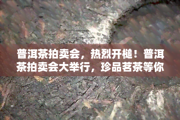 普洱茶拍卖会，热烈开槌！普洱茶拍卖会大举行，珍品茗茶等你来拍