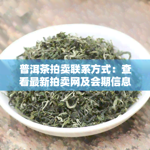 普洱茶拍卖联系方式：查看最新拍卖网及会期信息