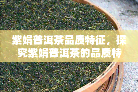 紫娟普洱茶品质特征，探究紫娟普洱茶的品质特征