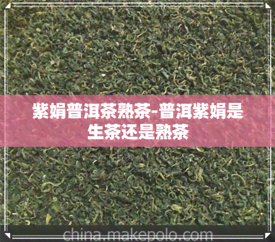 紫娟普洱茶熟茶-普洱紫娟是生茶还是熟茶