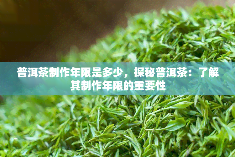 普洱茶制作年限是多少，探秘普洱茶：了解其制作年限的重要性