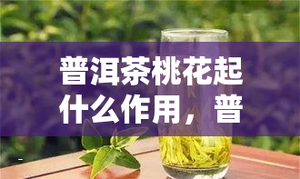 普洱茶桃花起什么作用，普洱茶与桃花的神奇组合，它们的作用是什么？