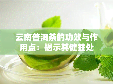 云南普洱茶的功效与作用点：揭示其健益处