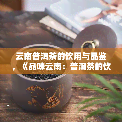 云南普洱茶的饮用与品鉴，《品味云南：普洱茶的饮用与品鉴》