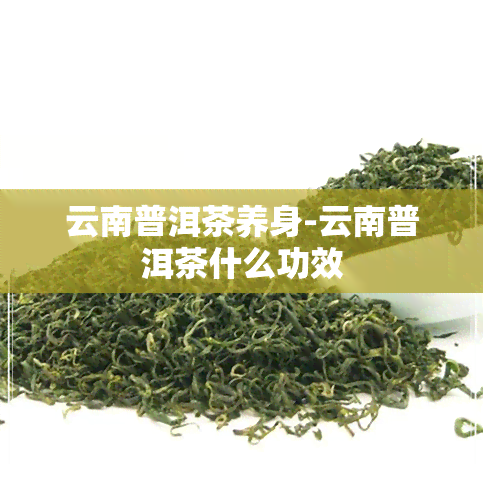 云南普洱茶养身-云南普洱茶什么功效