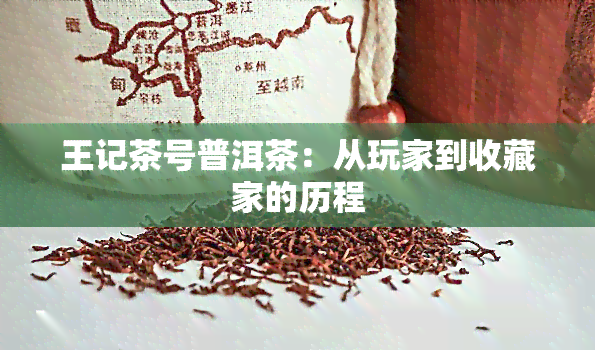 王记茶号普洱茶：从玩家到收藏家的历程