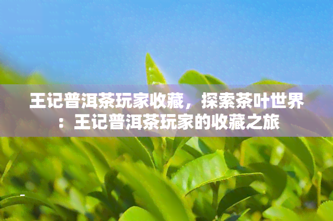 王记普洱茶玩家收藏，探索茶叶世界：王记普洱茶玩家的收藏之旅