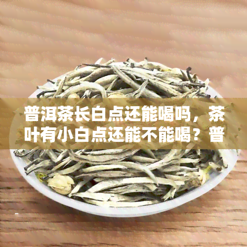 普洱茶长白点还能喝吗，茶叶有小白点还能不能喝？普洱茶小白点解析