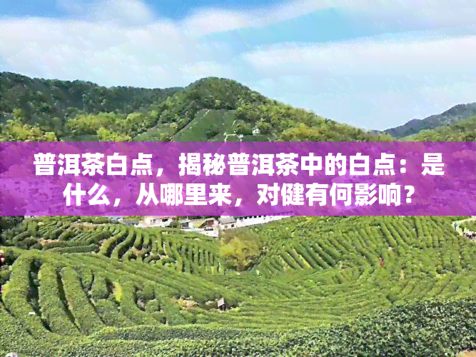 普洱茶白点，揭秘普洱茶中的白点：是什么，从哪里来，对健有何影响？