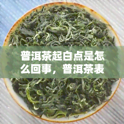 普洱茶起白点是怎么回事，普洱茶表面出现白色斑点的原因解析