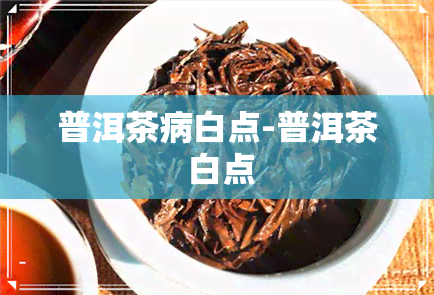 普洱茶病白点-普洱茶 白点