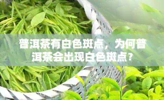 普洱茶有白色斑点，为何普洱茶会出现白色斑点？