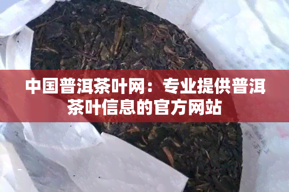 中国普洱茶叶网：专业提供普洱茶叶信息的官方网站