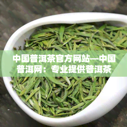 中国普洱茶官方网站—中国普洱网：专业提供普洱茶叶信息与服务