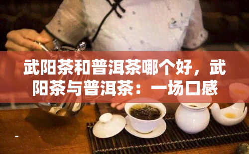 武阳茶和普洱茶哪个好，武阳茶与普洱茶：一场口感的较量