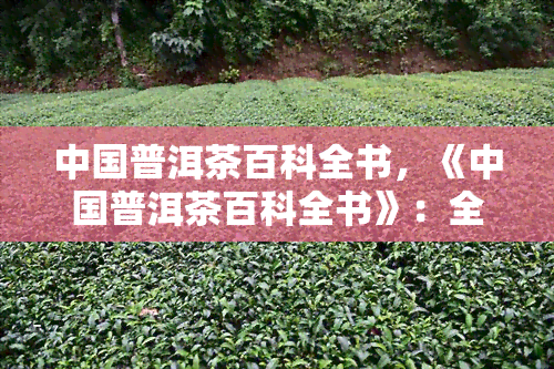 中国普洱茶百科全书，《中国普洱茶百科全书》：全面解读普洱茶的历、制作和品鉴