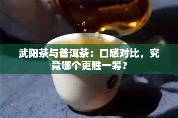 武阳茶与普洱茶：口感对比，究竟哪个更胜一筹？