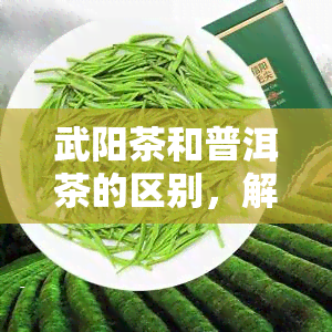 武阳茶和普洱茶的区别，解密武阳茶与普洱茶：从产地到口感的全面对比