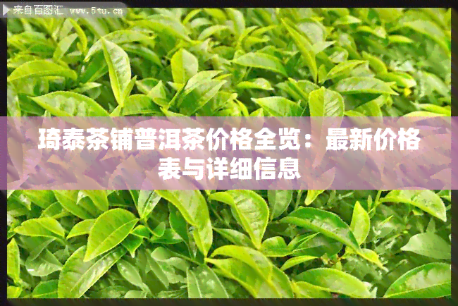 琦泰茶铺普洱茶价格全览：最新价格表与详细信息