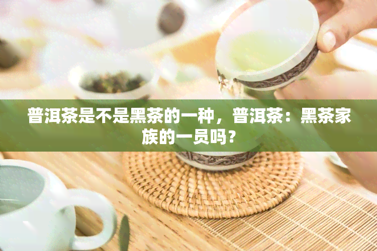 普洱茶是不是黑茶的一种，普洱茶：黑茶家族的一员吗？