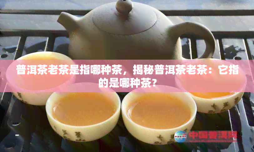 普洱茶老茶是指哪种茶，揭秘普洱茶老茶：它指的是哪种茶？